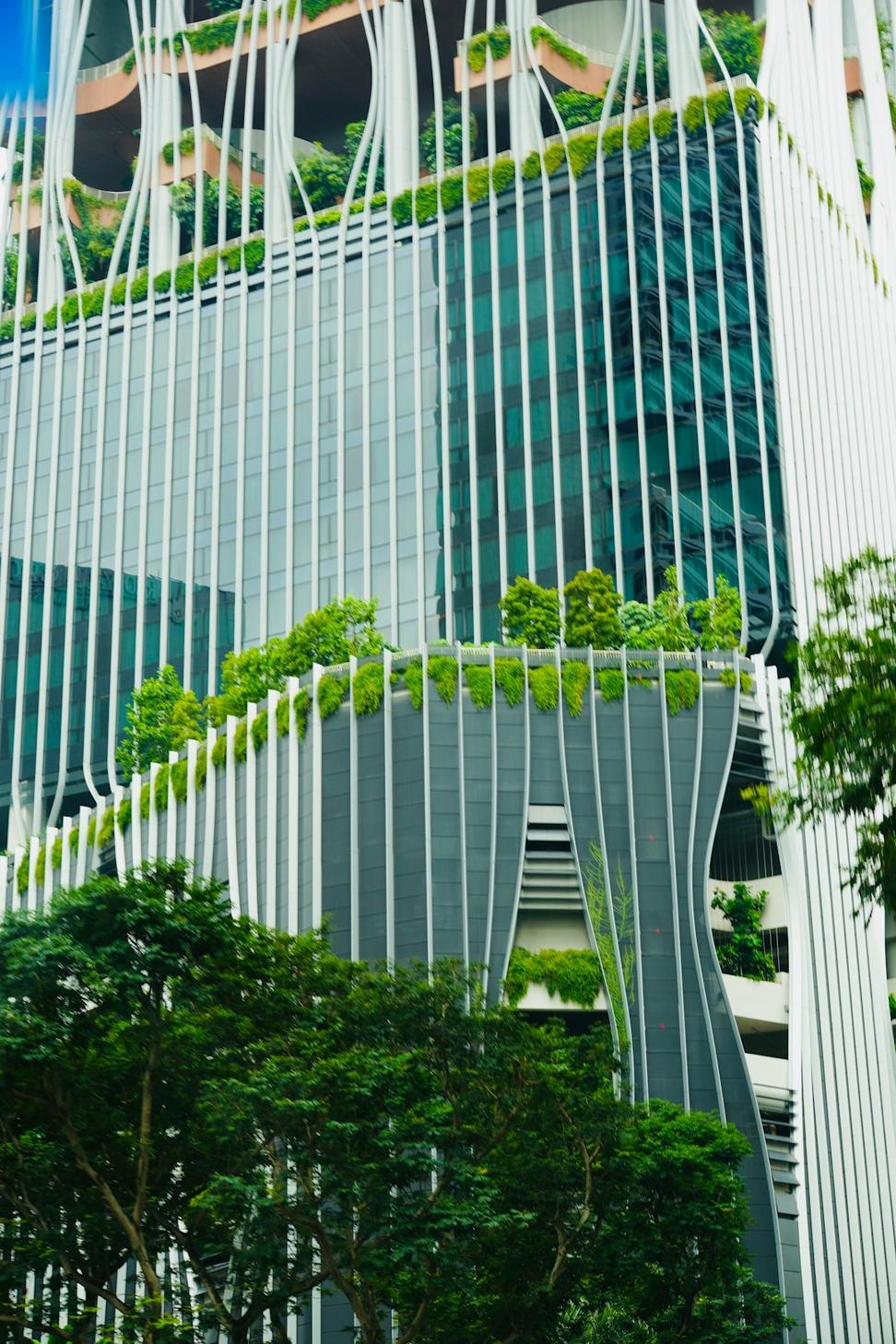 Green Certification